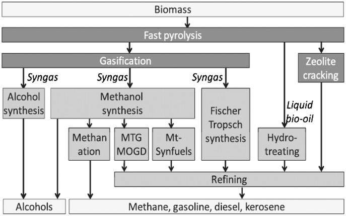 Liquid Fuels from Biomass Bridgwater AV.