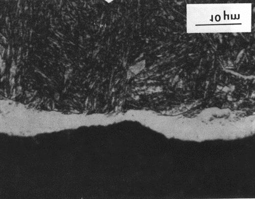 Figure 13: Photomicrograph of the surface of