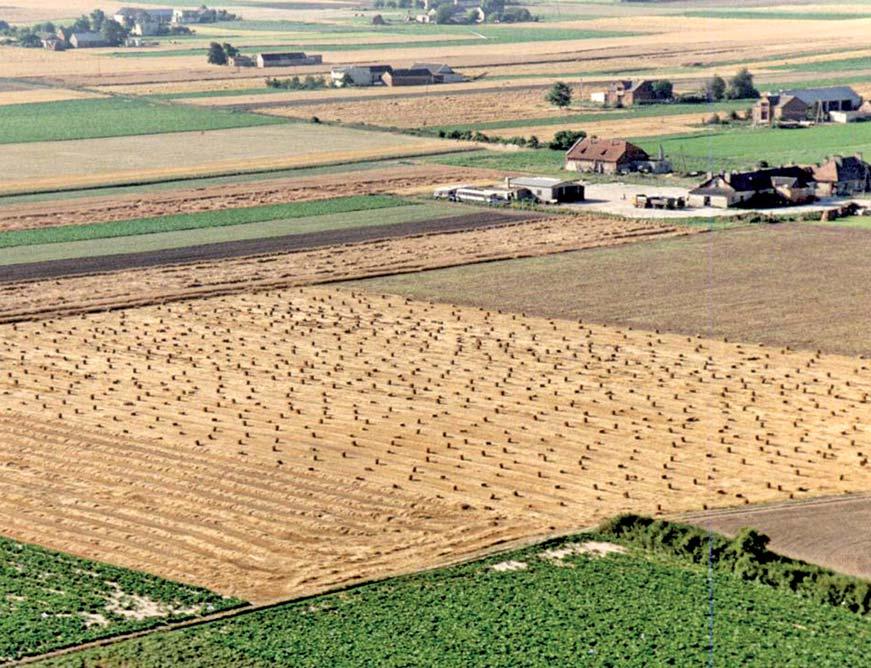 AGRICULTURE AND FOOD ECONOMY IN POLAND GENERAL INFORMATION ABOUT POLAND Poland is a country situated in the central part of Europe, with the territory of 312.