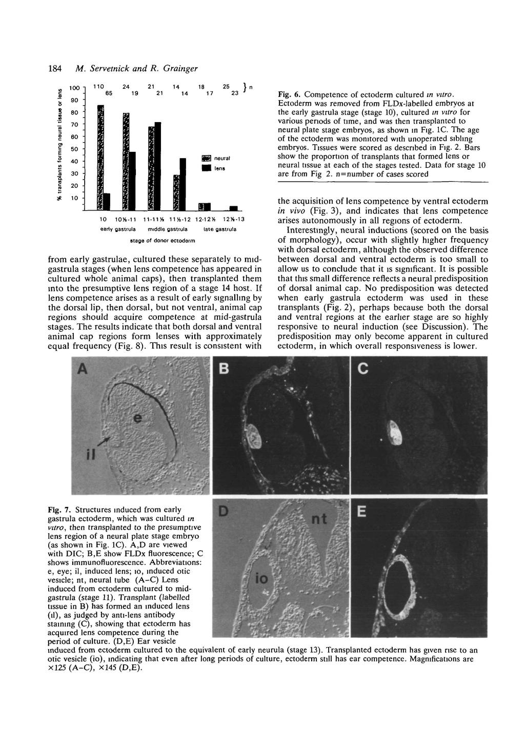 184 M. Servetnick and R. Grainger 100 24 110 65 21 19 14 21 25 18 14 17 ) n 23 ' 90 80 70 60 50 neural 40 - lens 30 - Fig. 6. Competence of ectoderm cultured in vitro.