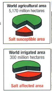 10,000 acres Water Use (cubic Km) 5000 4000 3000 2000 1000 0 1940