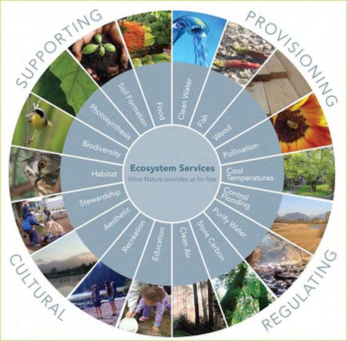 ECOSYSTEM SERVICES Source: