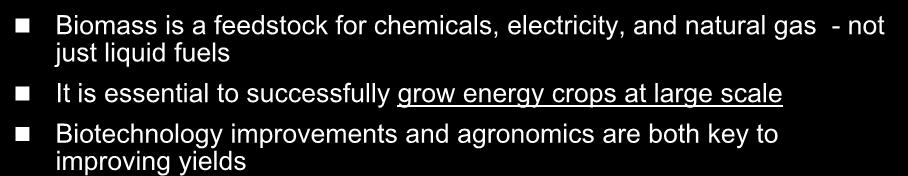 just liquid fuels It is essential to successfully grow energy crops at large scale