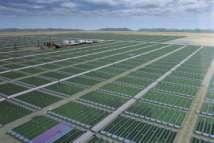 Biofuels from Algae Advantages Fast growing suitable for nonagricultural land, does not compete with food crops Produces a variety of products biodiesel, renewable diesel & gasoline, ethanol, biogas,