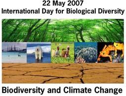 Secretariat of the Convention on Biological Diversity Submission from the Secretariat of the Convention on Biological Diversity on the Issue of Reducing Emissions from Deforestation in Developing