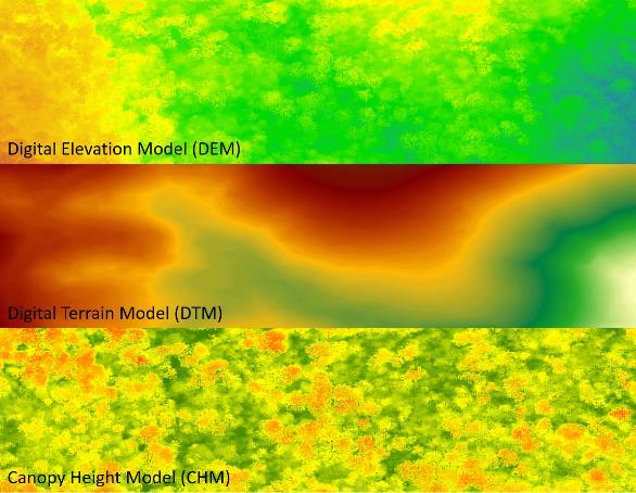 Figure 2. Generation of Canopy Height Model (CHM) from Digital Elevation Model (DEM) and Digital Terrain Model (DTM) Figure 3.