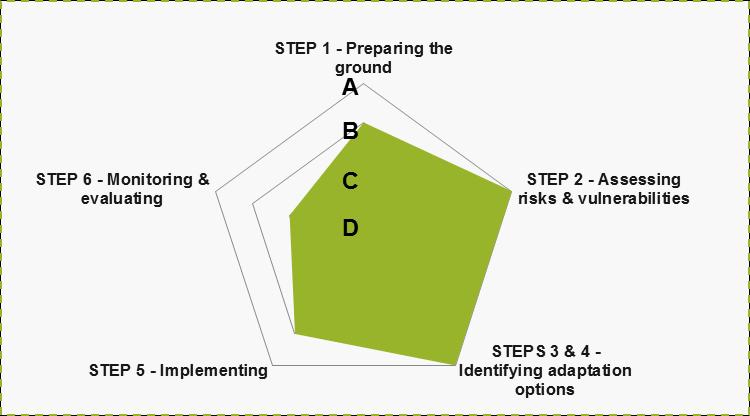 Adaptation scoreboard Adaptation self- assessment QUALITATIVE APPROACH Overview of the capacity,