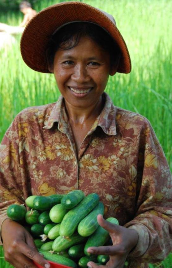 Example of results in Siem Reap Three years with two staff had a direct outreach to 5,500 farmers in one province alone More than 80% of these doubled their income, with widespread replication