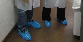 Mandatory items include gloves, facemask, shoe coverings, and disposable lab coats (Figure 14.1).