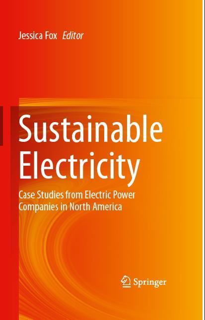 Sustainable Electricity Making decisions that satisfy regulators, meet shareholders demands, respond to cost-conscious customers, and balance conflicting demands from environmental