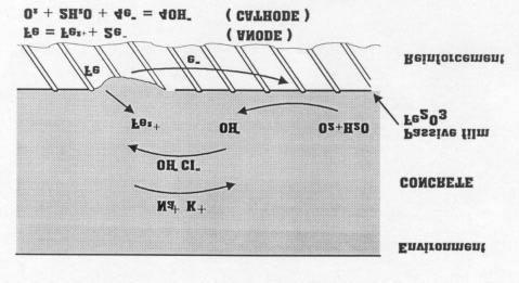 The anode reactions are: Fig. 1 Mechanism of reinforcement corrosion.
