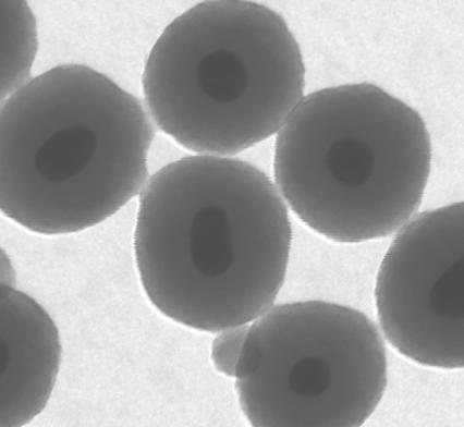 3: TEM images of silica coated nanospheres
