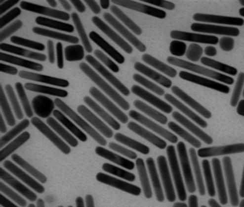 The TEM images show the nanorod dimension