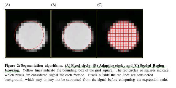 Image analysis Analysis of the image of the scanned array in order to extract an intensity