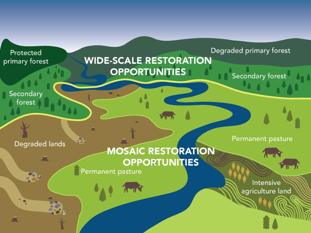 FOREST LANDSCAPE RESTORATION (FLR) is an ongoing process of regaining ecological functionality and enhancing human well-being the majority of restoration opportunities are found on or adjacent to