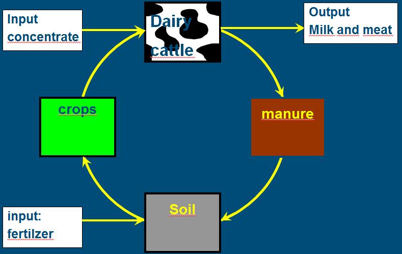 sustainability Maintain current level of outdoor grazing (about 70%) Dairy