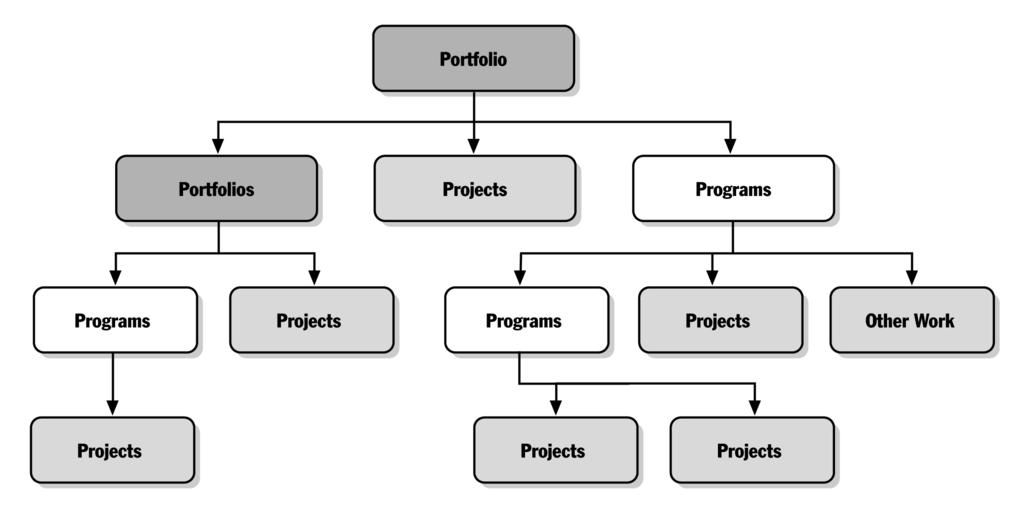 objectives. The projects or programs of the portfolio may not necessarily be interdependent or directly related.