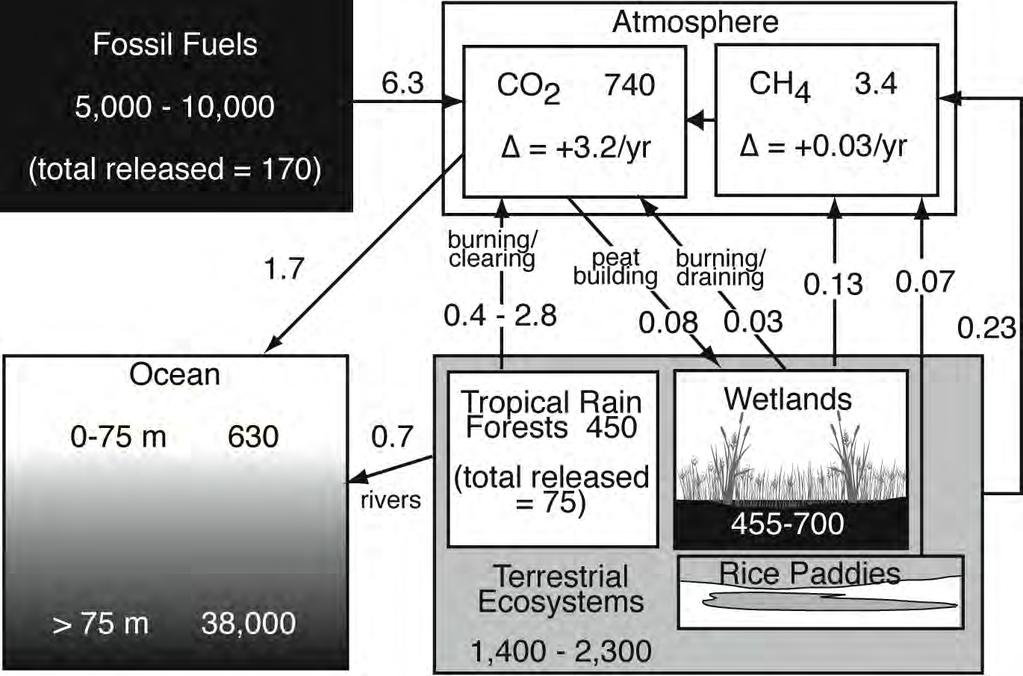 Old Global Carbon Budget with Wetlands Featured