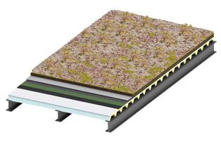 BENCHMARK ENVIRODEK ROOF SYSTEM / GREEN ROOF River House, London, UK (Image courtesy of IKO plc) BENCHMARK Envirodek is an insulated roof deck that has been specifically designed to support green and