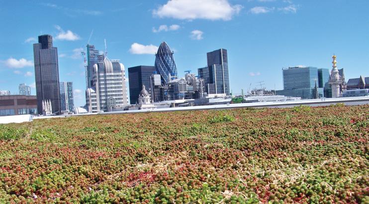 BENCHMARK By Kingspan is a member of the Green Roof Organisation (GRO).
