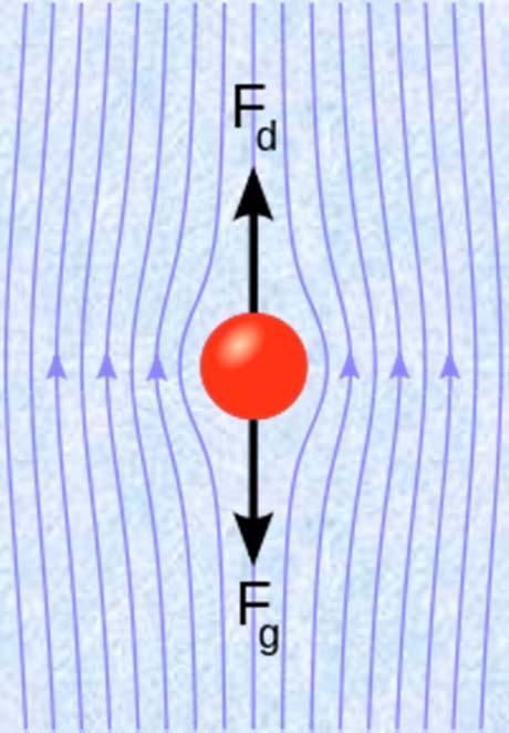 Stokes Law Sedimentation v s = settling velocity ρ p = density of the floc ρ f = density of the fluid (water) µ = viscosity g = gravity R = radius of the floc