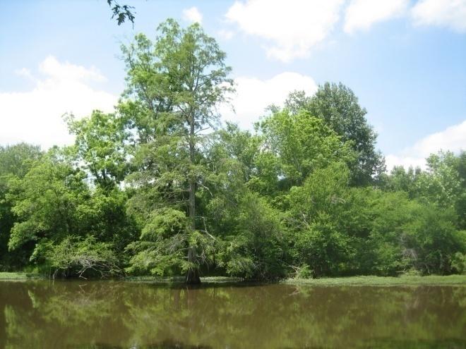 Conservation Assessment of the Neuse River
