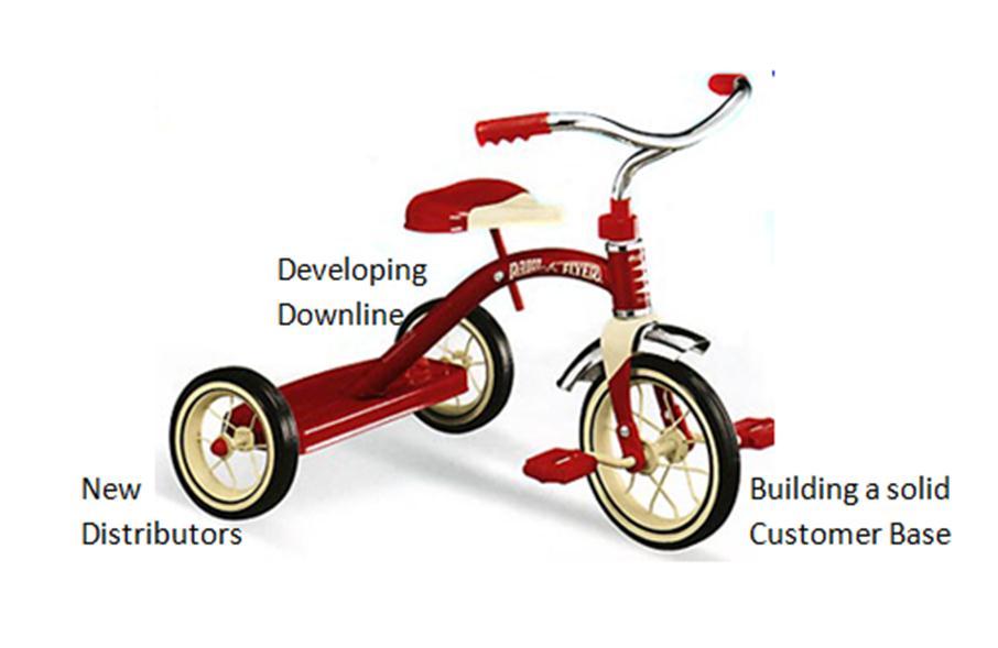 Building your organisation 3 parts B It is like a tricycle all 3 wheels