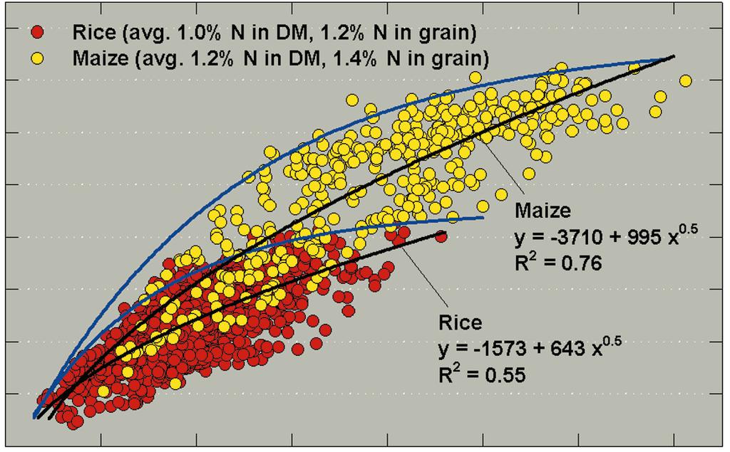 Figure 3. Relationship between grain yield and plant-n accumulation in aboveground biomass at physiological maturity in maize and rice.