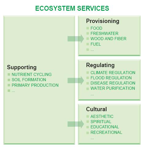 Ecosystem Services The