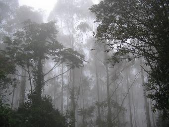 A case study of Tapantí National Park, Costa Rica
