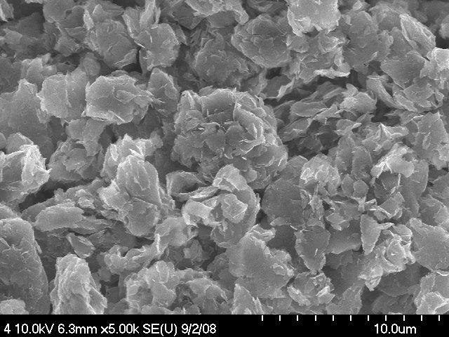 The SEM morphology of calcium carbonate powders is shown in Figure 3.