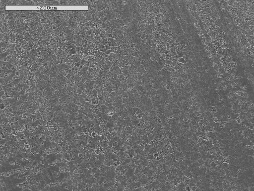 Figure 5: SEM micrograph of the thermoplastic corn starch-halloysite nano clay composite The tensile properties of the hybrids (NCCS 631 and CCCS 631) are generally higher than the TPS blend (CS 730)