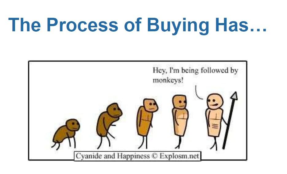 The process of buying has.