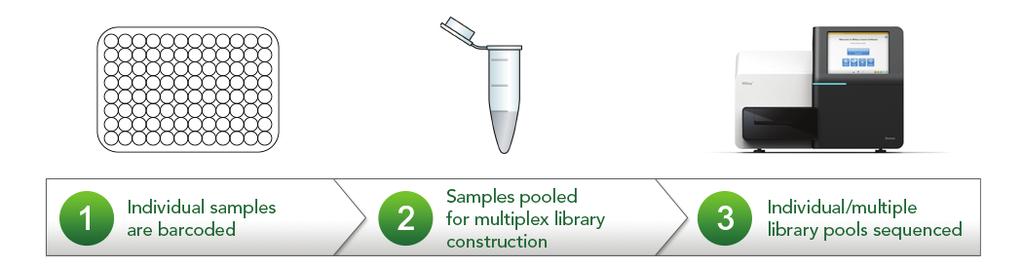 Application Note: RIPTIDE HIGH THROUGHPUT RAPID LIBRARY PREP (HT-RLP) Introduction: Innovations in DNA sequencing during the 21st century have revolutionized our ability to obtain nucleotide