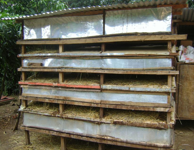 rabbits in hutches, of these, 36% constructed a 2ft by 2ft (floor area) cage and 29% a 3ft by 3ft (floor area) cage.