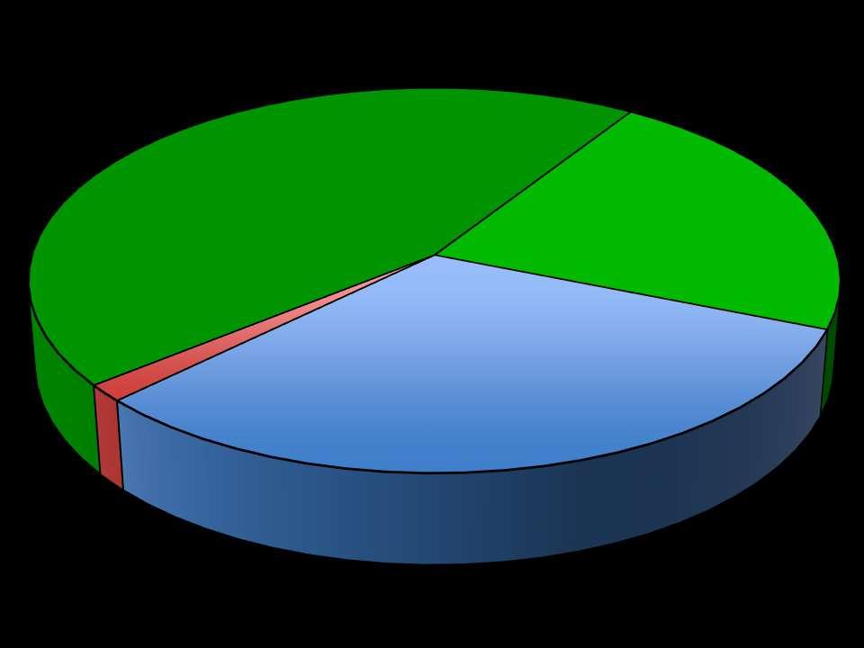 Terrestrial Mammal Biomass 2015 Cattle 45%