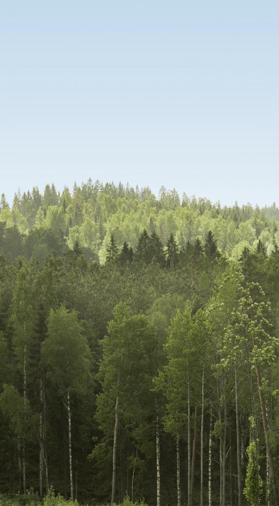 Finnish forests are managed sustainably Finnish forests are natural commercial forests that do not compete with agricultural land In most parts of the world forest compete with agricultural land