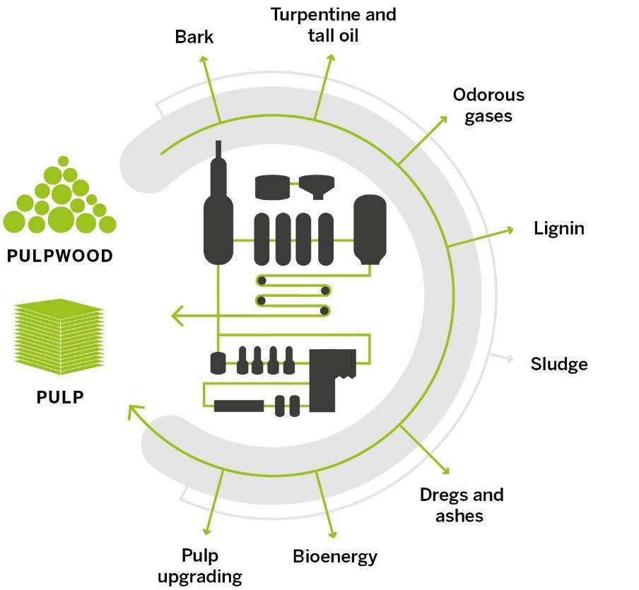 Bioproduct concept: all side streams 100% utilised * Traditional bioproducts Accomplished * * New biofuels from bark, wood dust and energy wood Product gas from bark and sludge for the mill s own use