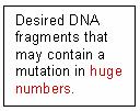 Molecular Identification: