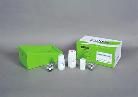 MagListo 5M PCR Purification Kit Fast & easy purification of fragment DNAs from PCR product or enzymatic reactant!