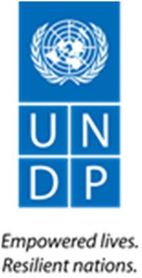Localizing the SDGs : -What could this mean for UNDP in Asia and the Pacific?