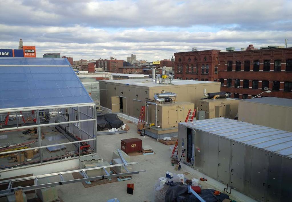 BIRDS EYE VIEW OF THE NEW PLANT(S) THAT GREW IN BROOKLYN NYC ( YES THEY GROW ORGANIC VEGETABLE ON THE ROOF FOR