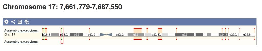 1. TP53 has a large number of transcript isoforms.