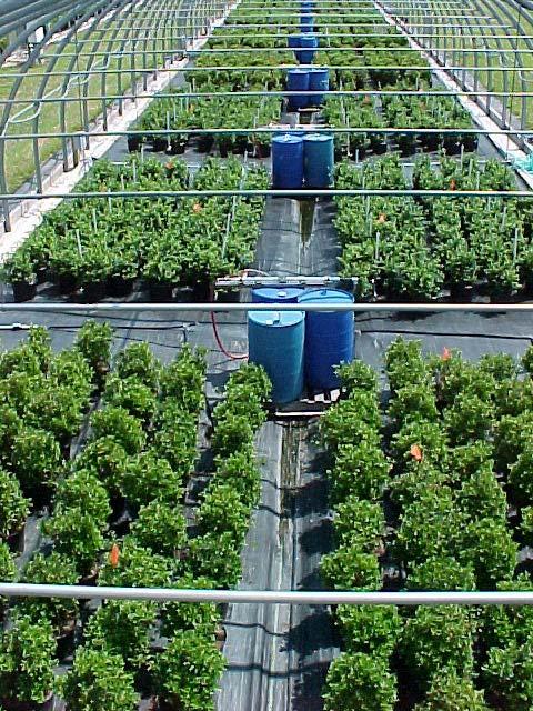 Nursery/Greenhouse Nutrient Management Focus is on developing cost-effective, lowimpact nutrient and irrigation strategies Cross-disciplinary