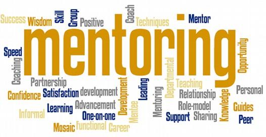 Mentoring competencies learning outcomes The qualified Mentor must be able to: 1. Demonstrate the role of the mentor 2. Establish and maintain trust and confidence with the Mentee 3.