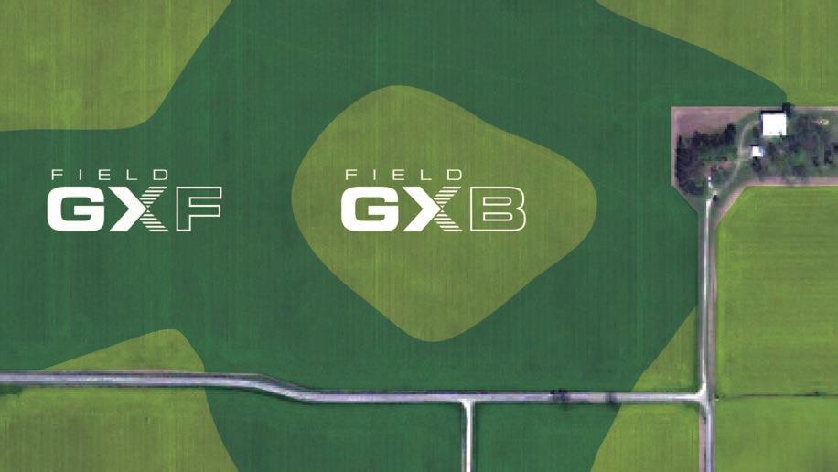 WE KNOW GENETIC DIVERSITY FIELD GX When choosing similar genetics for a multi-hybrid planter you may not see the full yield potential of the technology. That is why AgriGold uses Field GX.