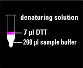 5 Agilent Protein 230 Assay Protocol Preparing the Denaturing Solution The prepared destaining solution is sufficient for 25 chips and is stable for the complete kit lifetime.