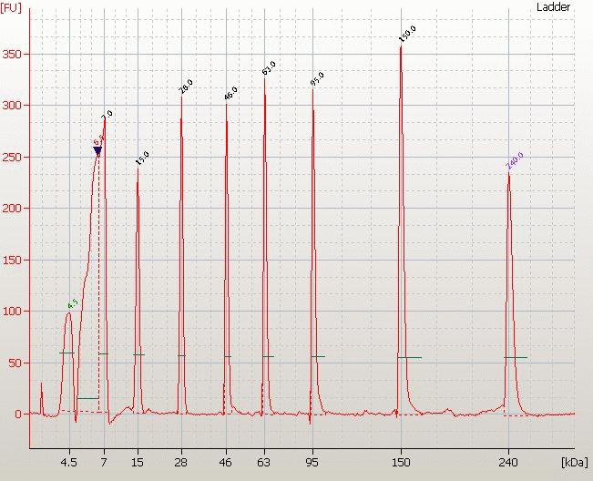 Checking Your Agilent Protein 230 Assay Results 6 Protein 230 Ladder Well Results Major features of a successful ladder run are: 7 ladder peaks and all peaks are well resolved Flat baseline Readings