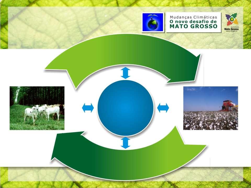 ACTION PROPOSALS AND A VIEW OF THE FUTURE Degraded Pastures are converted into agricultural land The area is fertilised and the soil corrected CATTLE PASTURE AREA