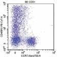 Naïve/Memory T cells and T regulatory